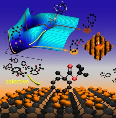 Schnittstelle zwischen Halbleitertechnologie und organischer Chemie: Cyclooctin heftet sich selektiv an eine Siliziumoberfläche, so dass weitere funktionale Gruppen frei bleiben. (Abb.: Marcel Reutzel & Michael Dürr)